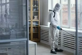 Désinsectisation en urgence à Tourcoing